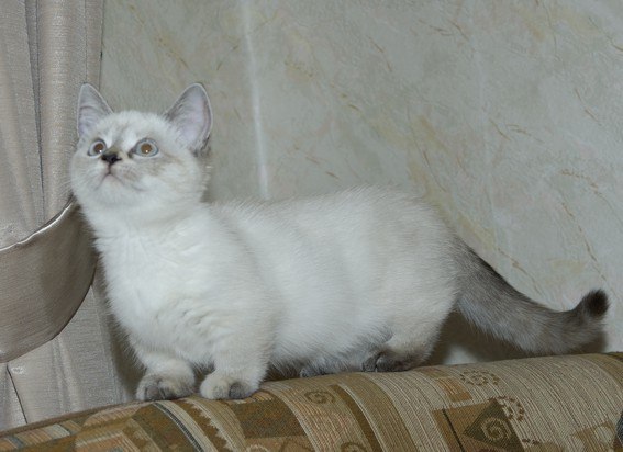 Алексей Александров | Москва