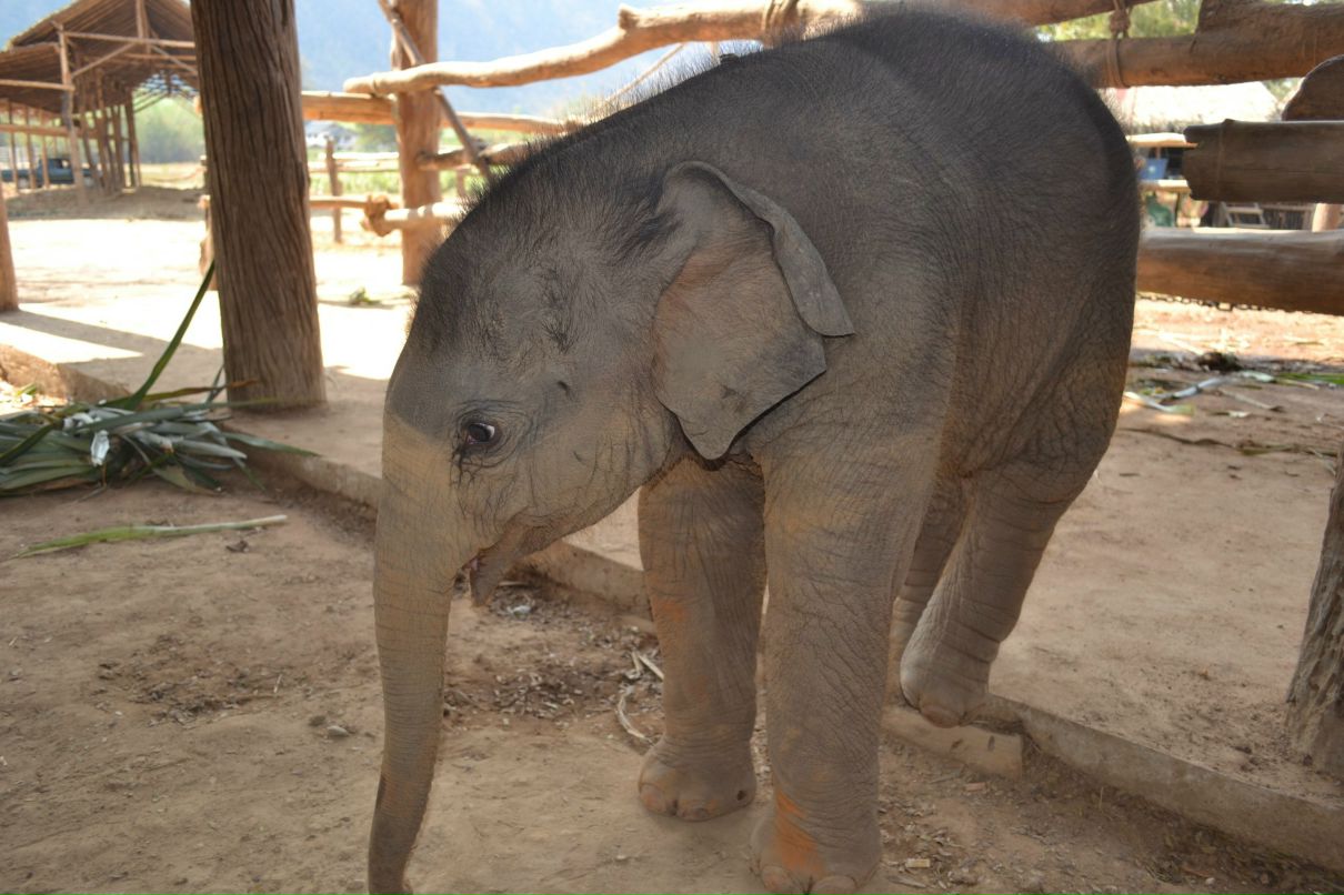 Татьяна Романенко *ANGEL* | Ханты-Мансийск