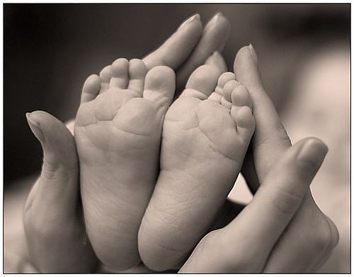 Евгения Палёха | Конотоп