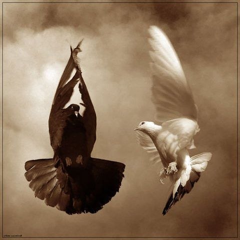 Коля Бакалов | Одесса