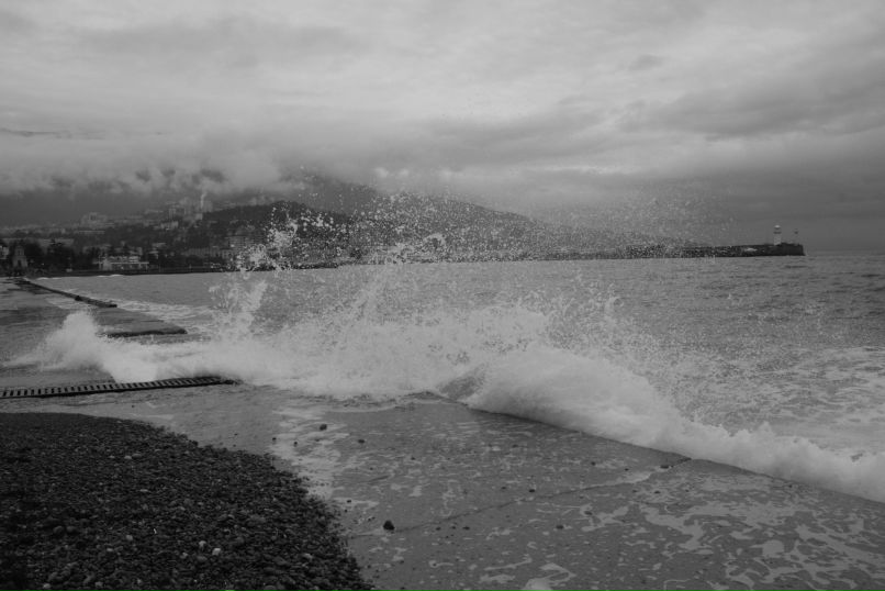 Ярослав Палюх | Киев