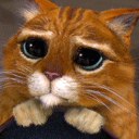 Ольга Алексеева | Кронштадт