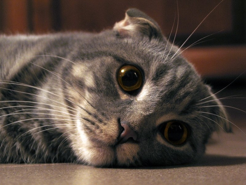 Нина Хведонцевич Сергеевна | Минск