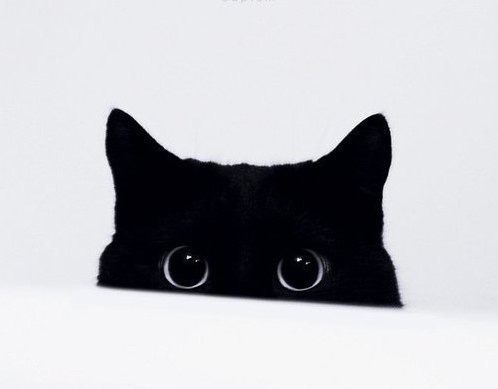 Алёна Кравченко | Калининград