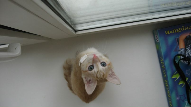 Мария Колисова | Санкт-Петербург