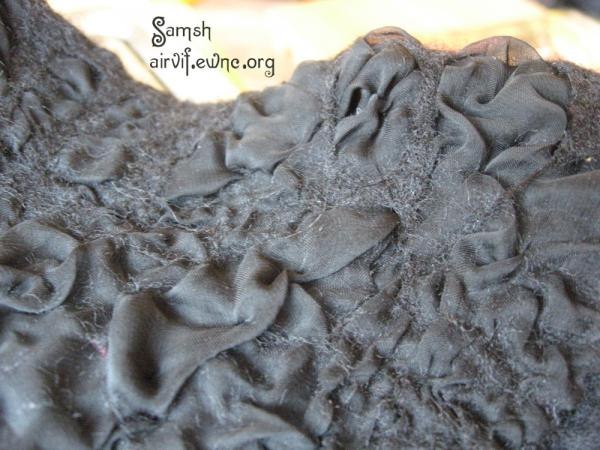 Виктория Ловпаче Samsh | 