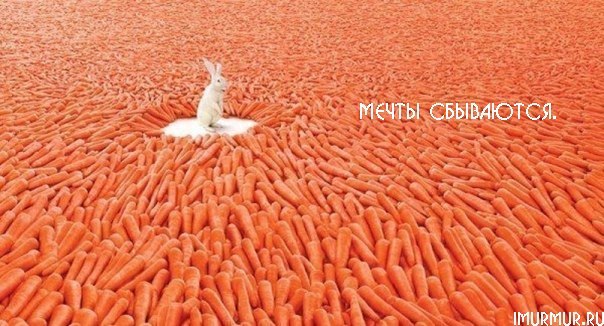 Алексей Xxx | Минск