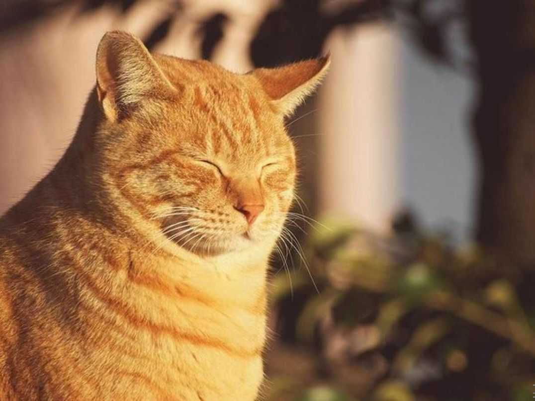 Маша Воронец | Минск