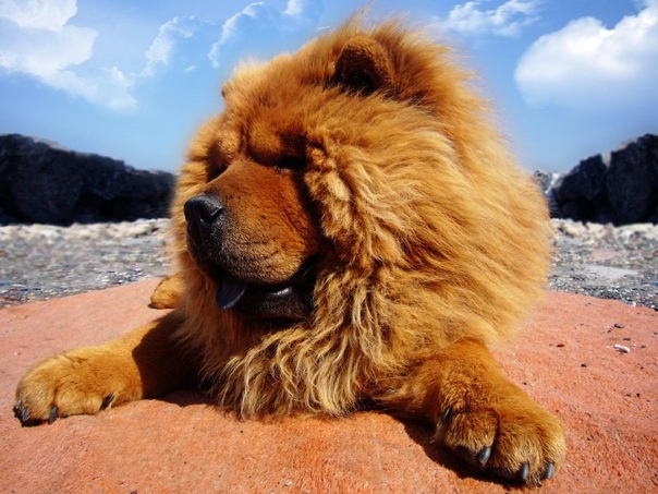 №129, Евгения Хлопина, Нижневартовск №129, Евгения Хлопина, Нижневартовск