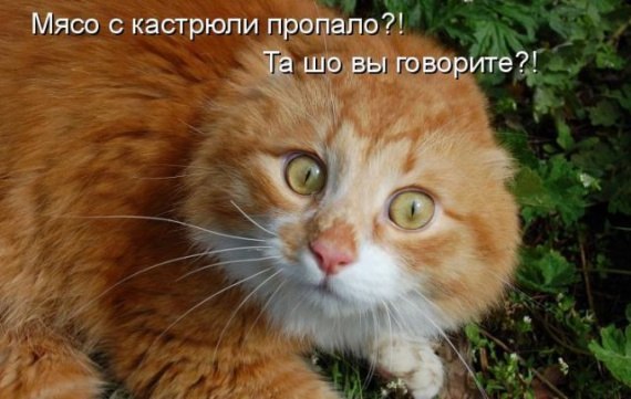 Жека Соколов | Брест