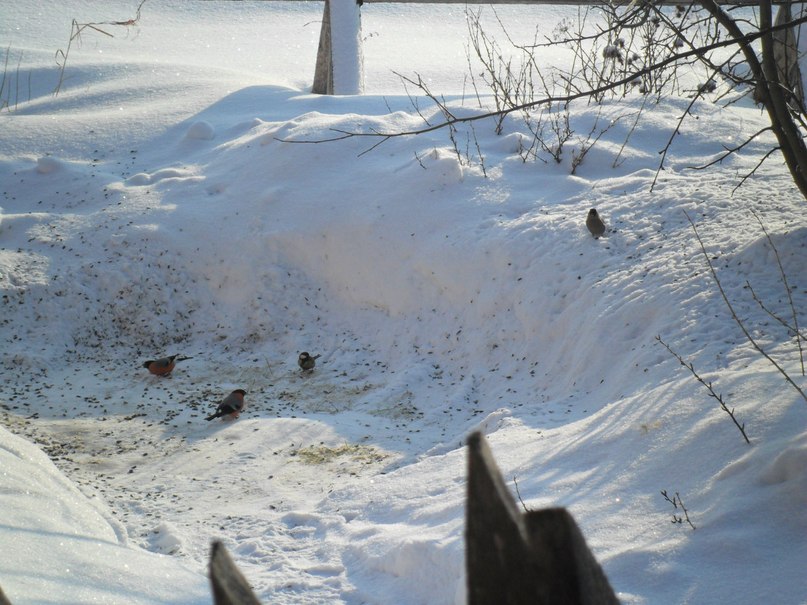 Александр Капитанов | Тургошь