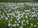 Фотография Ворошиловой Ольги