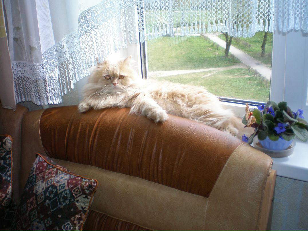 Татьяна Григорьева | Сланцы