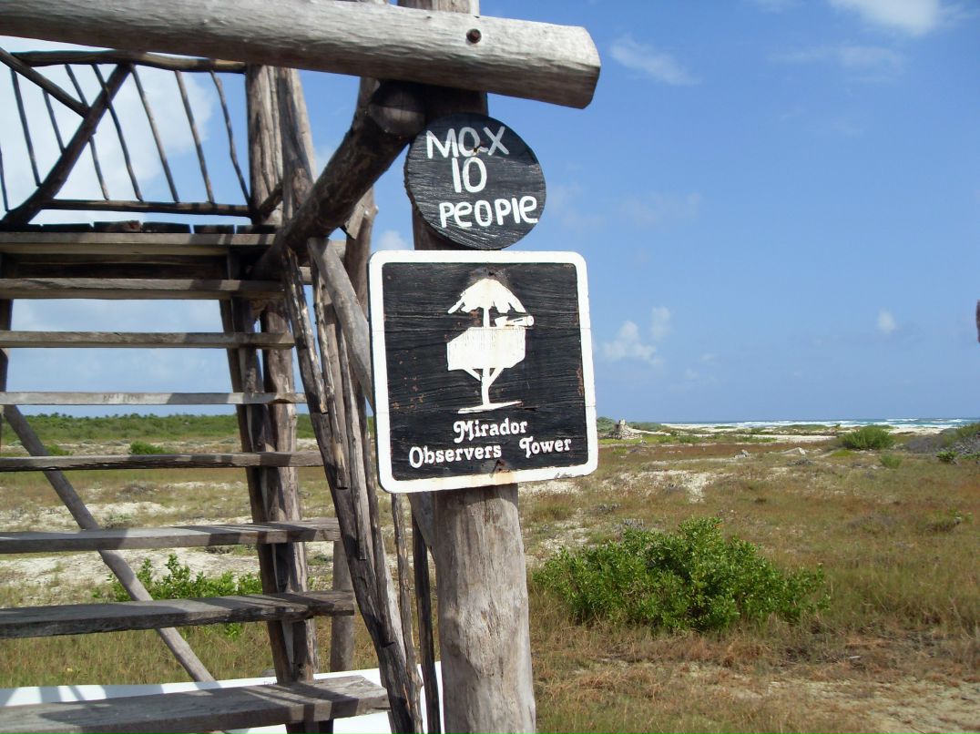 Юлия Шибаева | Санкт-Петербург