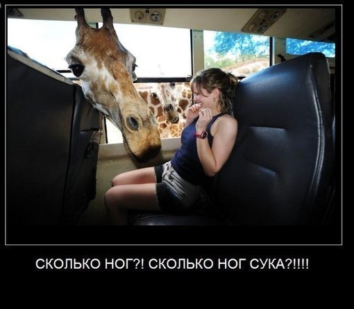 №19, Станислав Губанов, 39 лет, Кривой Рог №19, Станислав Губанов, 39 лет, Кривой Рог