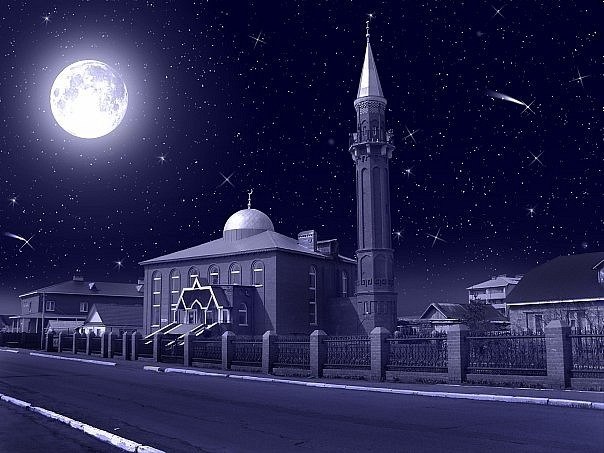 Амир Вазиев Pushtun | Мурманск