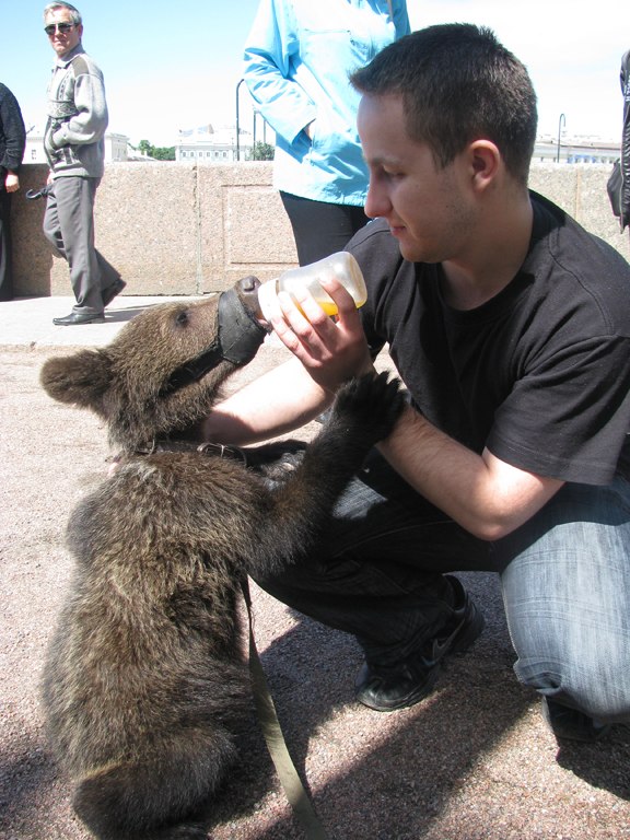 Михаил Андреев | Ташкент