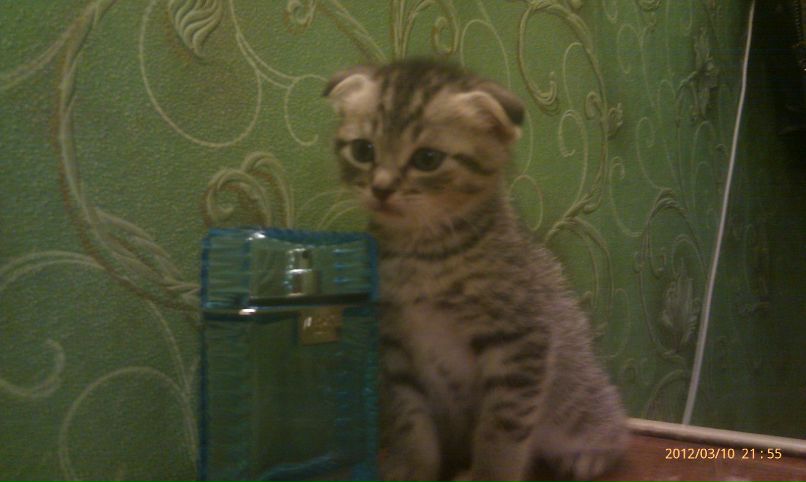 Валерий Чуриков | Мурманск