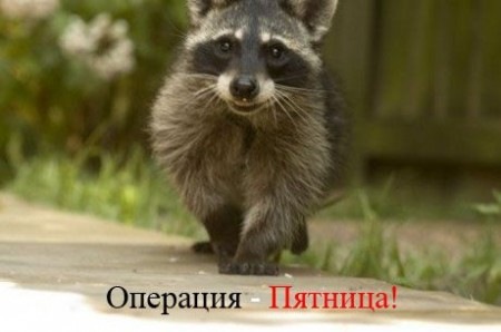 №159, Natali Beautylook, Воронеж №159, Natali Beautylook, Воронеж