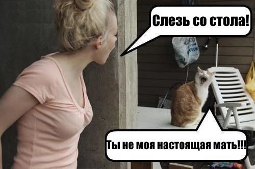 Алиса Дорохова | Москва