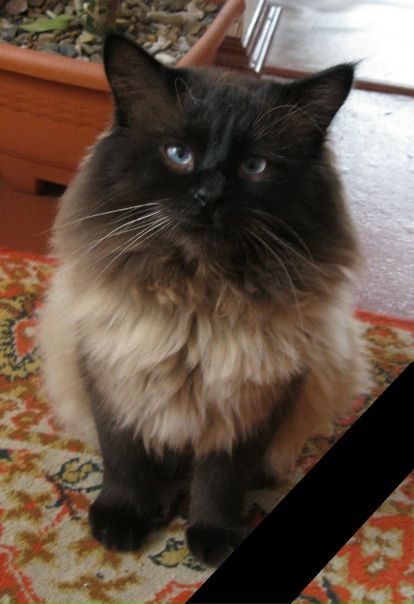 №187, Сирёженька Котов, 37 лет, Киев №187, Сирёженька Котов, 37 лет, Киев