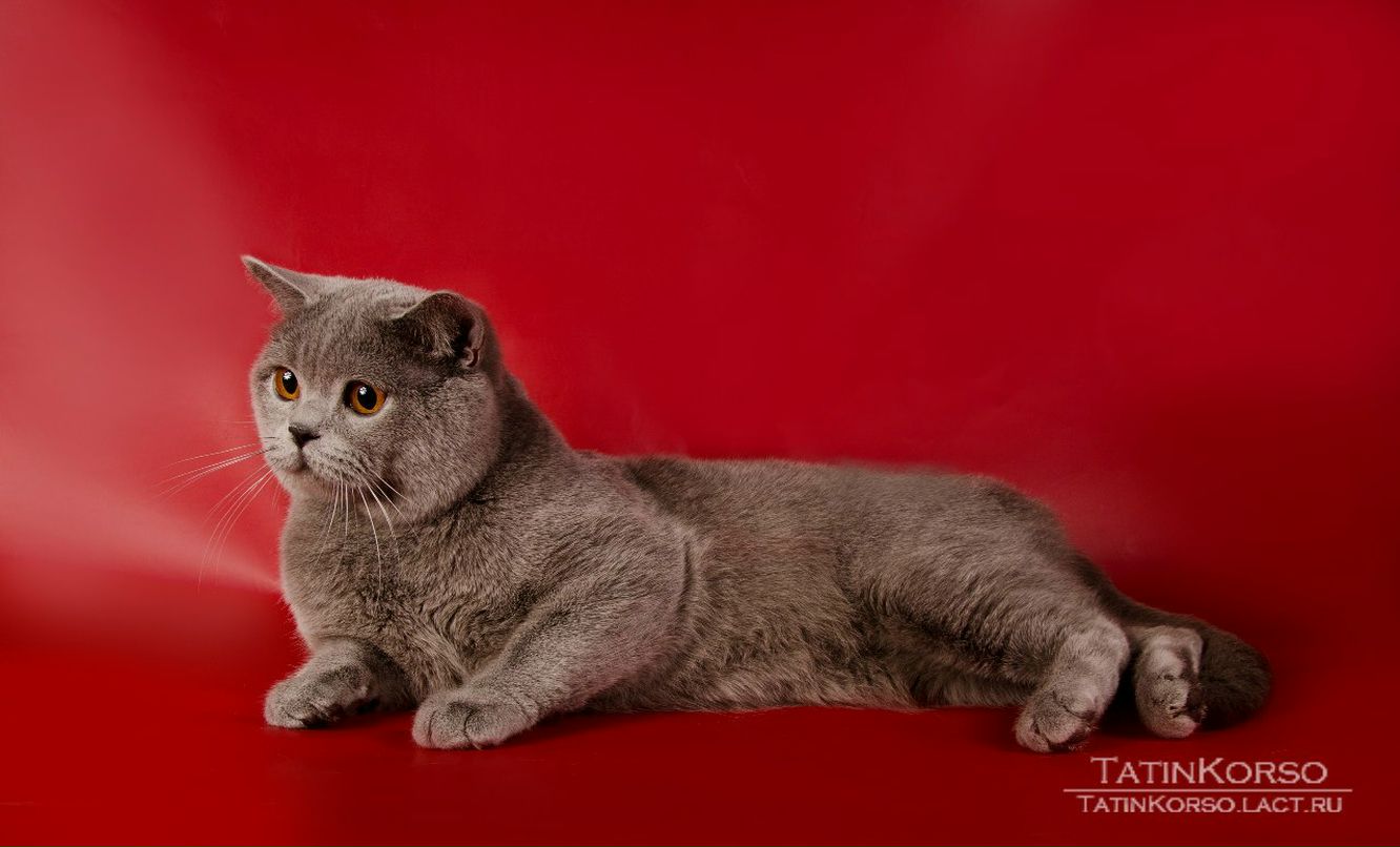 Алёна Копылова | Одесса