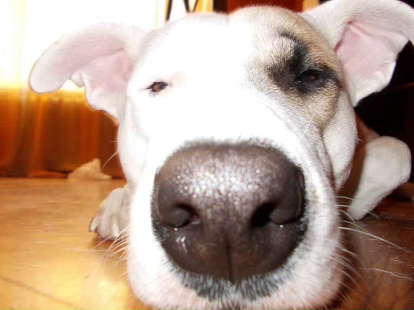 Юлия Икоткина | 