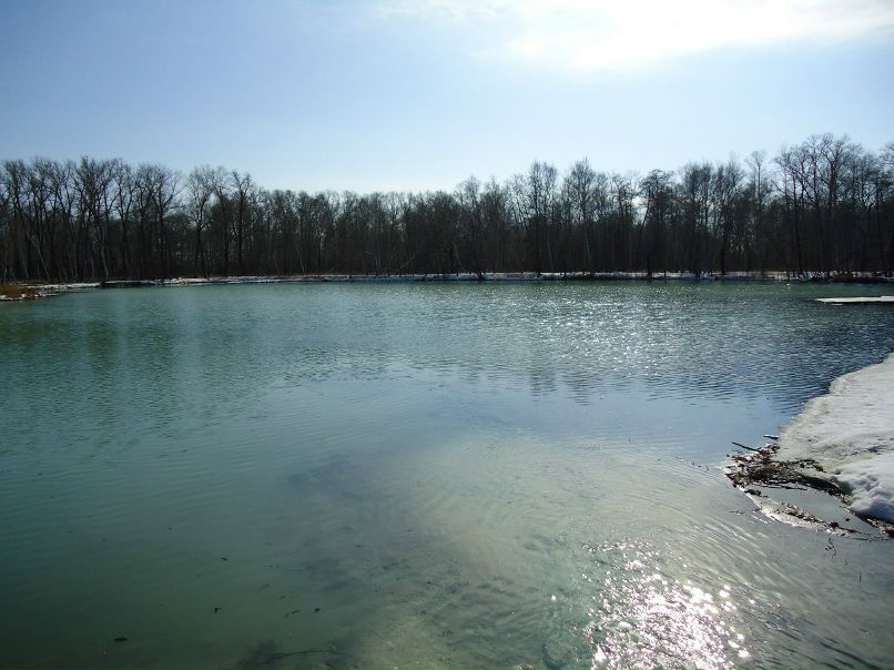 Ольга Акимова | Лыткарино