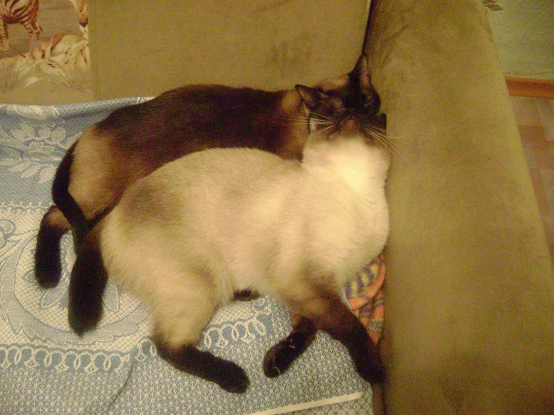 Ирина Николаева | Петрозаводск