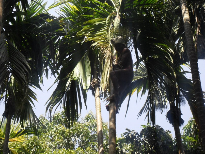 Алла Корнева | Нижний Новгород
