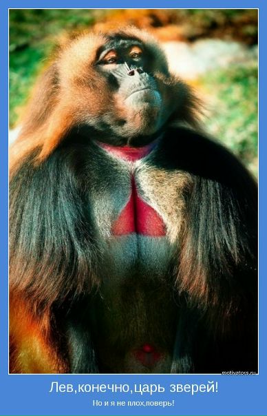 №29, Денис Торганов, 41 год, Брянск №29, Денис Торганов, 41 год, Брянск