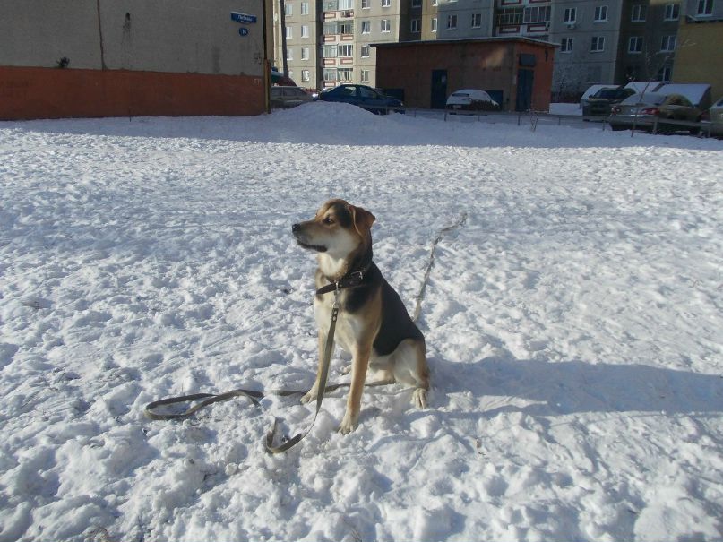 Марина Алексеева | Липецк