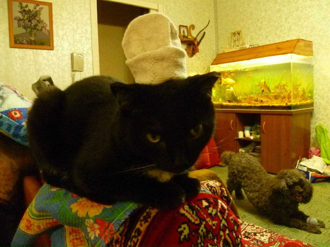 Ирина Баканова | Новосибирск