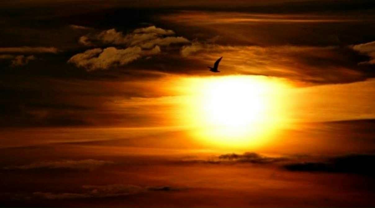 Томи Вайнахов | Москва