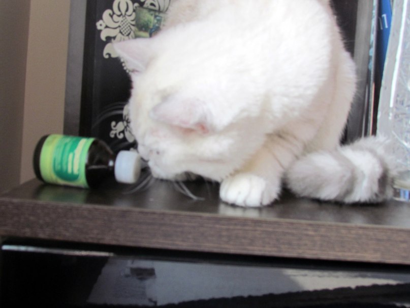 Валерия Дашут ܓ | Москва