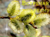 №18 Александра Барулина 05.02.1988: профиль, фото, статус - ВКонтакте