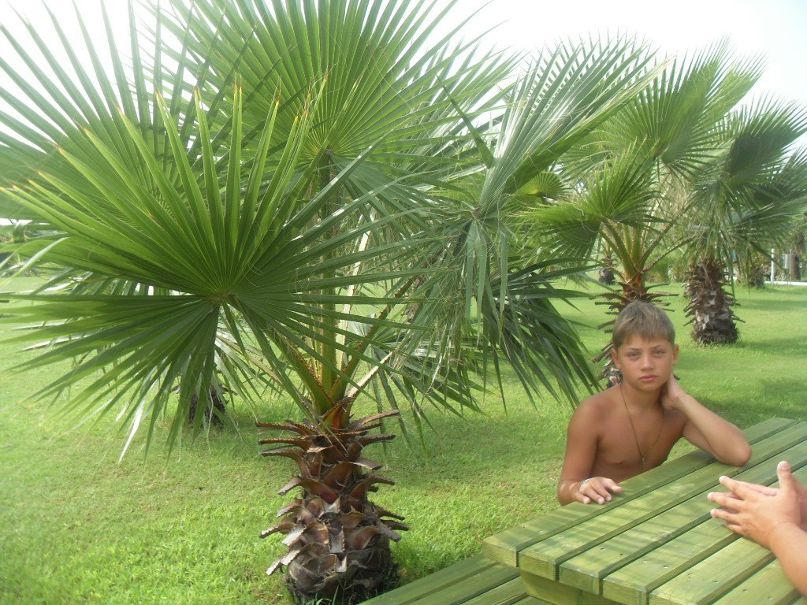 Даниил Туев | Советск