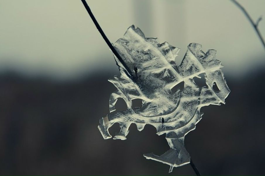 №83, Frozen Николай, 38 лет, Ростов-на-Дону, Россия №83, Frozen Николай, 38 лет, Ростов-на-Дону, Россия