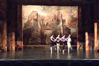 Swan Lake - Imperial Russian Ballet