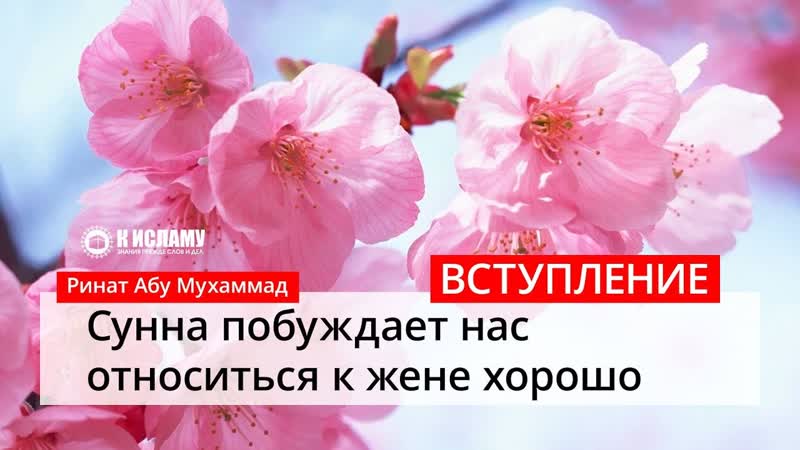 Сунна побуждает нас относиться к жене хорошо: Вступление