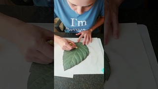 Быстрый способ тонировки листьев из изолона