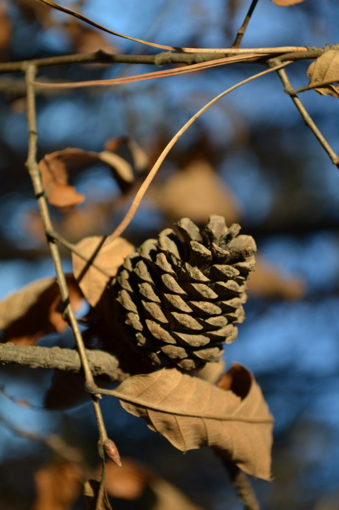 Юрий Ли | Уссурийск