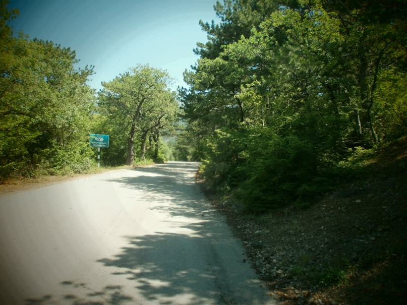 Сергей Набока | Симферополь