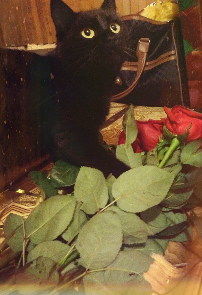 Валя Чиркова | Ижевск