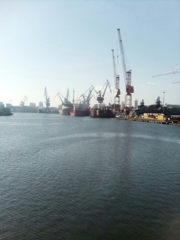 Юрий Сердюк | Кривой Рог