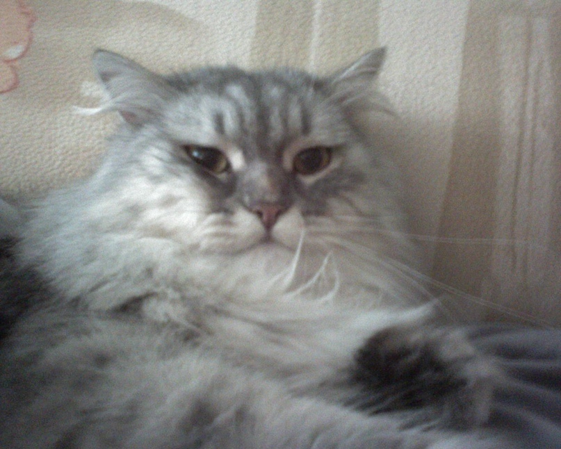 Ирина Журавлева | Волгоград