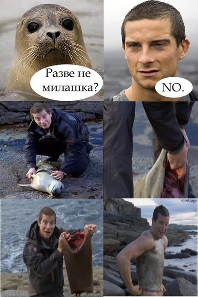 Иван Кривоносов | Санкт-Петербург