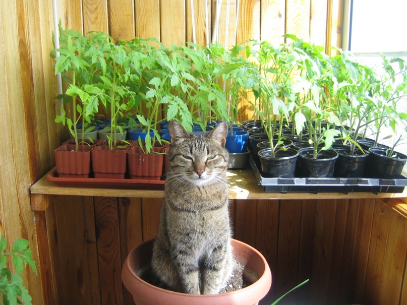 Наталья Липатова | Уфа