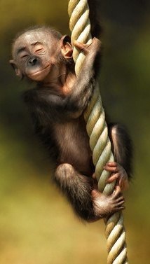 Артемий Дворядкин Более чем | Москва