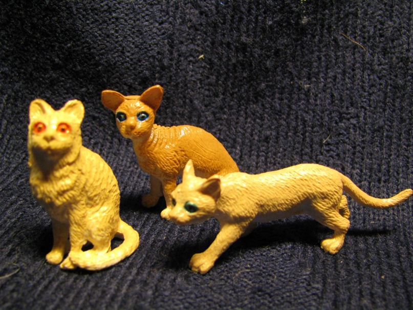 Евгений Уланов | Калуга